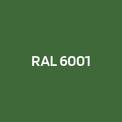 RAL 6001 Smaragdgrün